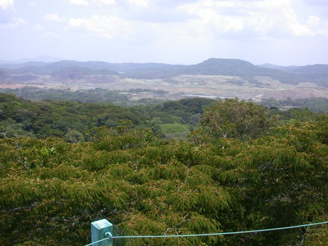 View from the Canopy Tower