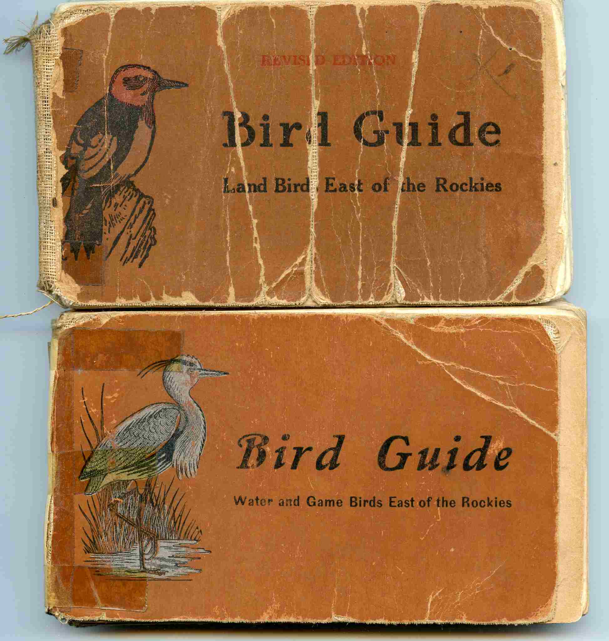 Covers of Reed guides
