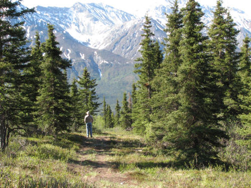 mountain scene at Sheep Mountain Lodge