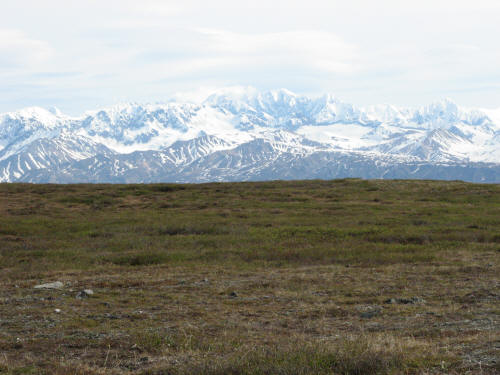 mountain scenery along the Denali Highway 