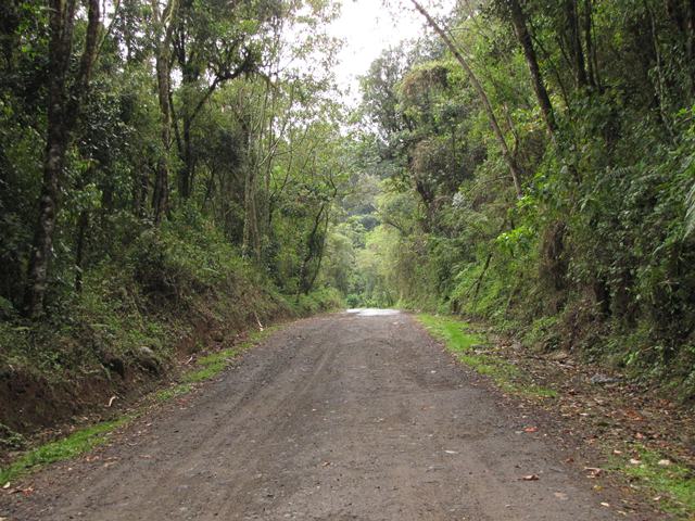 Agulhas Negras Road