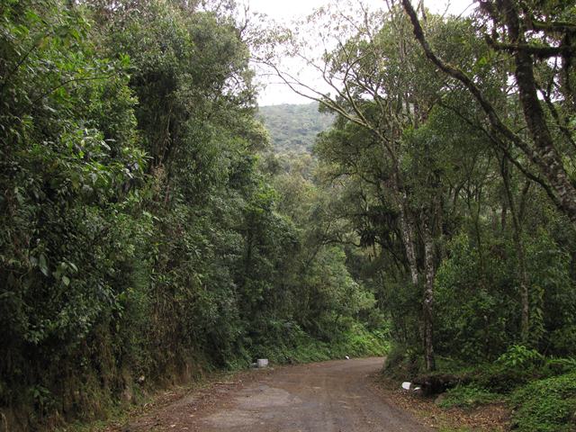 Agulhas Negras Road