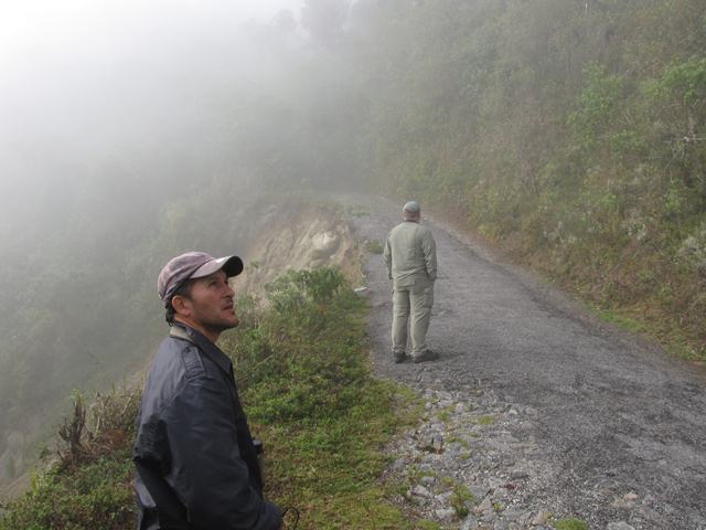 Pico da Caled&ocirc;nia