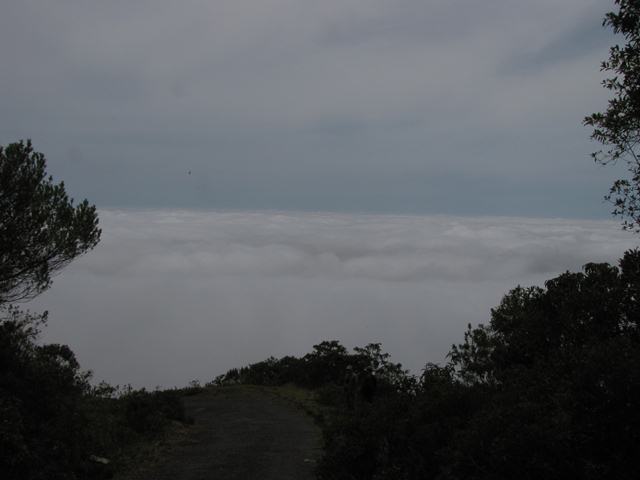 Pico da Caled&ocirc;nia