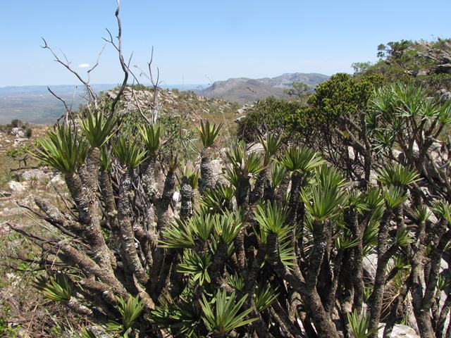 Serra do Cipo