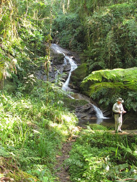 Waterfall at Itatiaia National Park