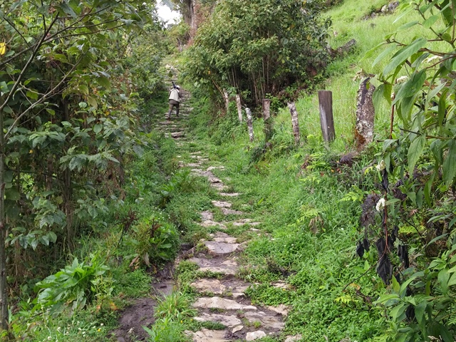 San Lorenzo trail