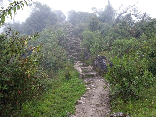 San Lorenzo trail