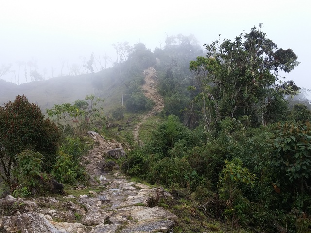 San Lorenzo trail