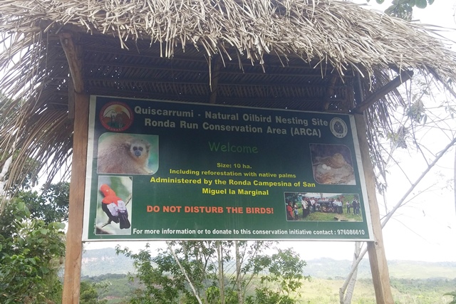 Oilbird sign