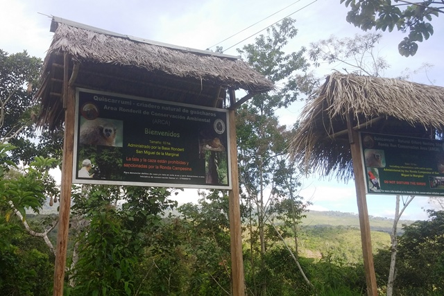 Oilbird sign