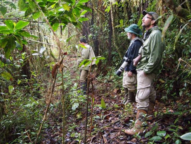 Owlet Lodge trail