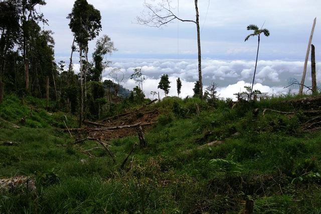 View above the clouds