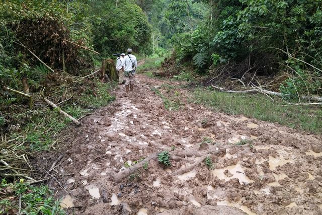 Muddy trail