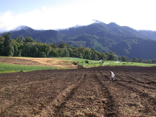 Farm fields