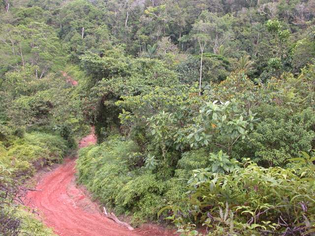 Road to Burbayar