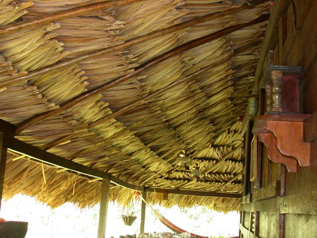 Thatched roof